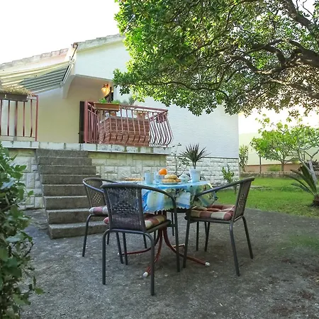 Palma Petrcane