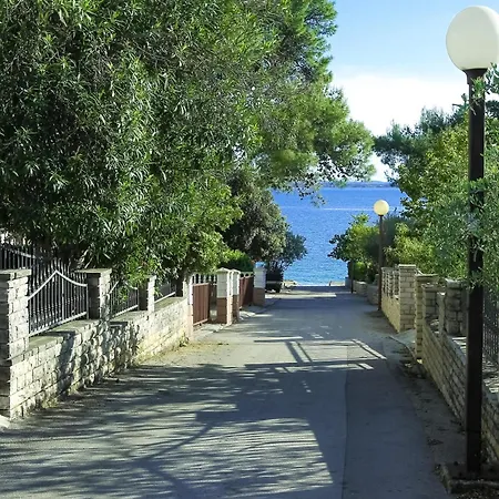 Palma * Petrcane